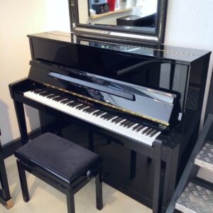 SCHIMMEL 120 Occasion