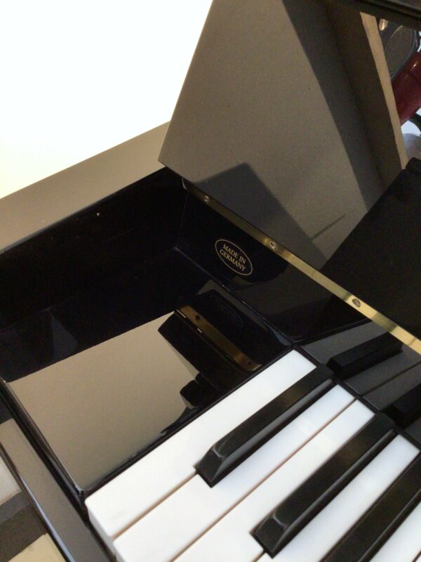 SCHIMMEL 120 Occasion – Image 2