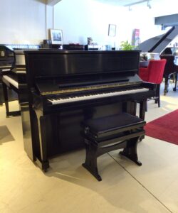 Steinway & Sons Silent occasion studio 1098