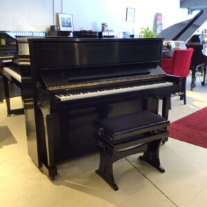 Steinway & Sons Silent occasion studio 1098