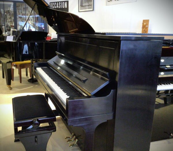 Steinway & Sons Silent occasion