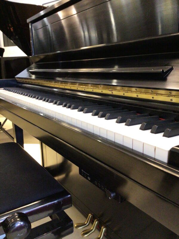 Steinway & Sons Silent 1098