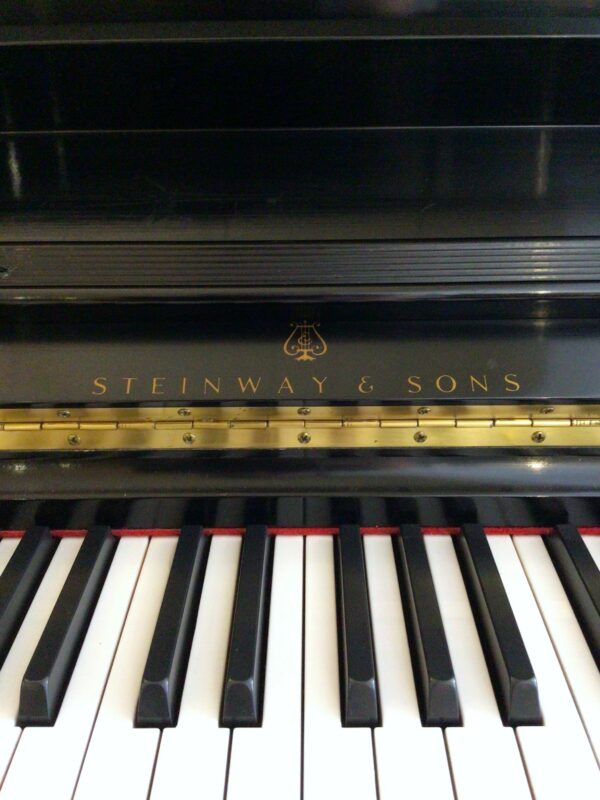 Steinway & Sons Silent 1098