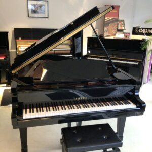 Yamaha occasion G3 face